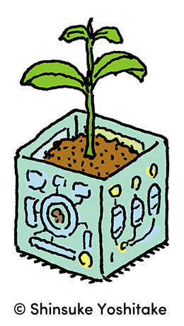 読んで・折りたたんで・野菜を育てる「苗ポット」/「うちゅうニュース」ちきゅうのやさいもんだい