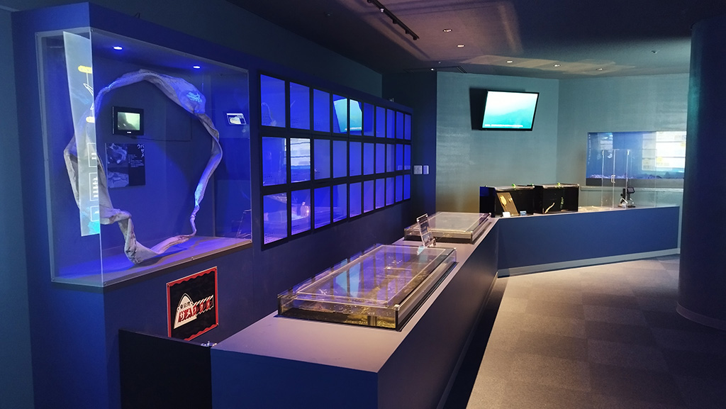 横浜・八景島シーパラダイス（神奈川県/横浜市）