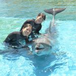 横浜・八景島シーパラダイスで自由研究応援プログラムを開催中　いきもの教室やイルカとおよごうで楽しく学ぼう