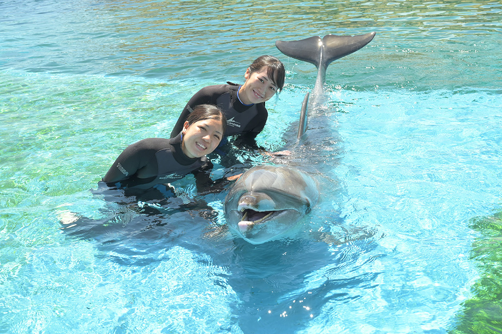 スペシャルプログラム！「イルカとおよごう」/横浜・八景島シーパラダイス（神奈川県/横浜市）