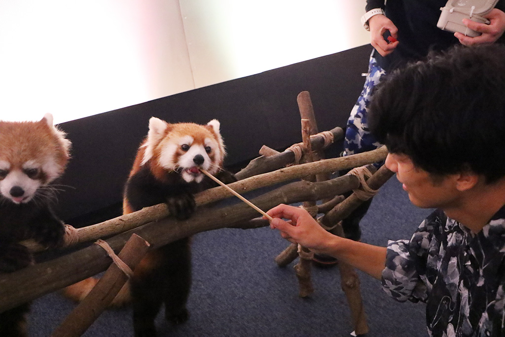 「SDGｓシアター ～シーパラのこどもたち～」/横浜・八景島シーパラダイス（神奈川県/横浜市）