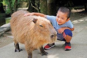 長崎バイオパークは動物たちと間近でふれあえる！カピバラ・カンガルー・リスザルなど