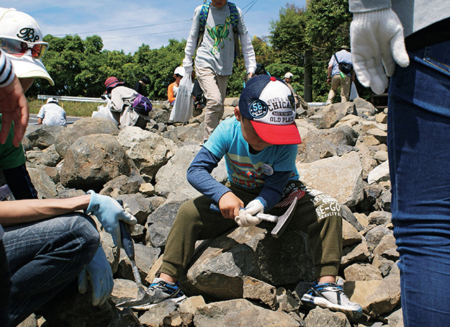 化石採集体験/御所浦恐竜の島博物館（熊本県/天草市）