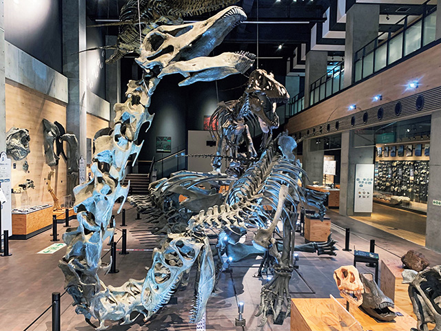 迫力満点の大型恐竜の等身大レプリカ/御所浦恐竜の島博物館（熊本県/天草市）