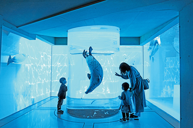 柱水槽をのんびり泳ぐアザラシ/マリンワールド 海の中道かいじゅうアイランド（福岡県/福岡市）