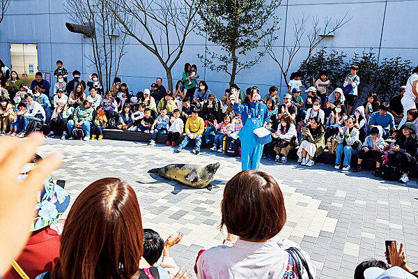 360度どこからでも見られるアイランドステージ/マリンワールド 海の中道かいじゅうアイランド（福岡県/福岡市）