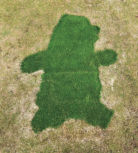 エリア内の隠れくまモン/阿蘇くまもと空港 そらよかエリア（熊本県/益城町）