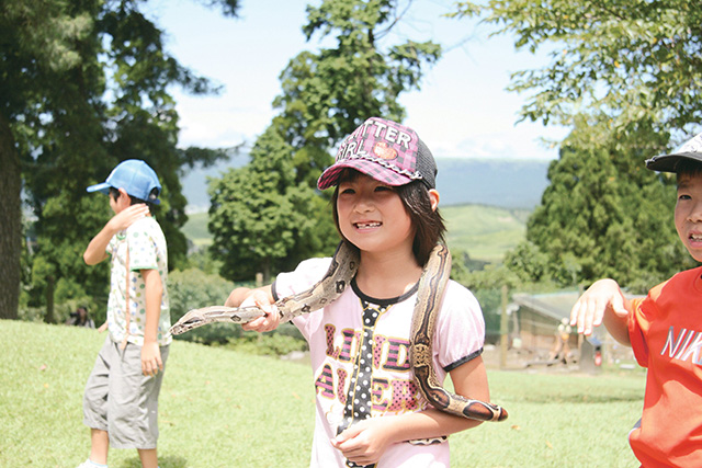 爬虫類とのふれあい/阿蘇カドリー・ドミニオン(熊本県/阿蘇市)