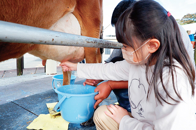 /らくのうマザーズ阿蘇ミルク牧場(熊本県/西原村)