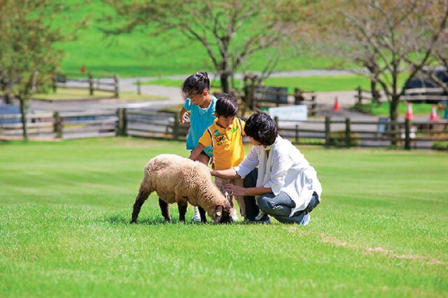 動物ふれあいランド/高千穂牧場(宮崎県/都城市)