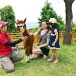 九州の動物ふれあいスポット8選！エサやり体験や手作り体験もおすすめ