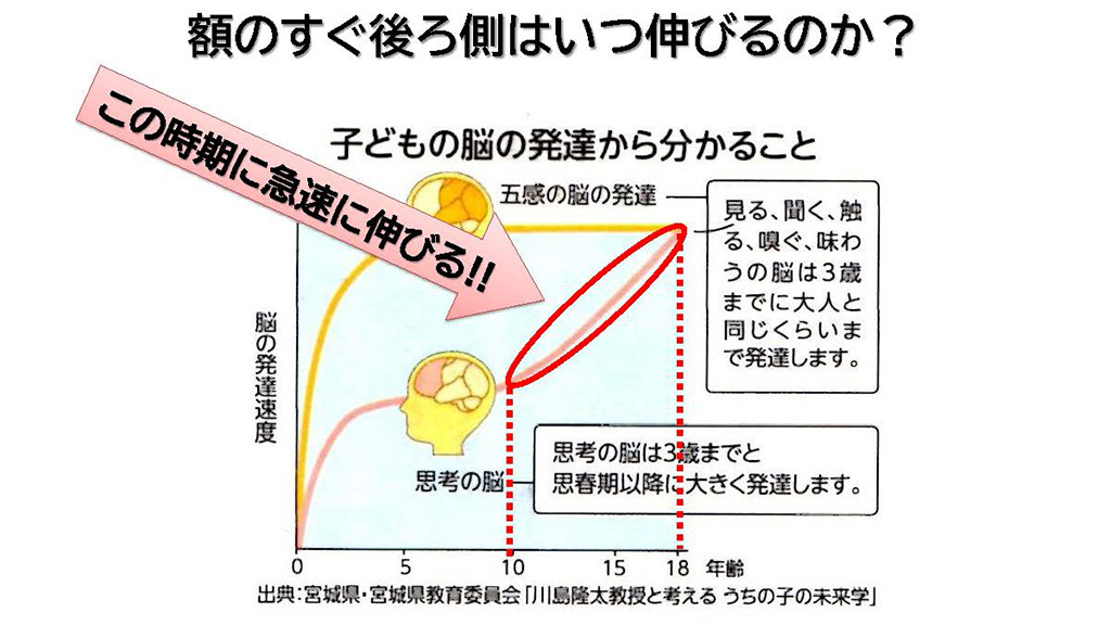 額のすぐ後ろ側はいつ伸びるのか?/「子育てをもっと楽しむキャリアセミナー」中山芳一先生作成資料より