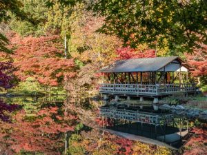 名古屋など愛知県の紅葉がおすすめの公園・庭園など7選（10月下～12月上）