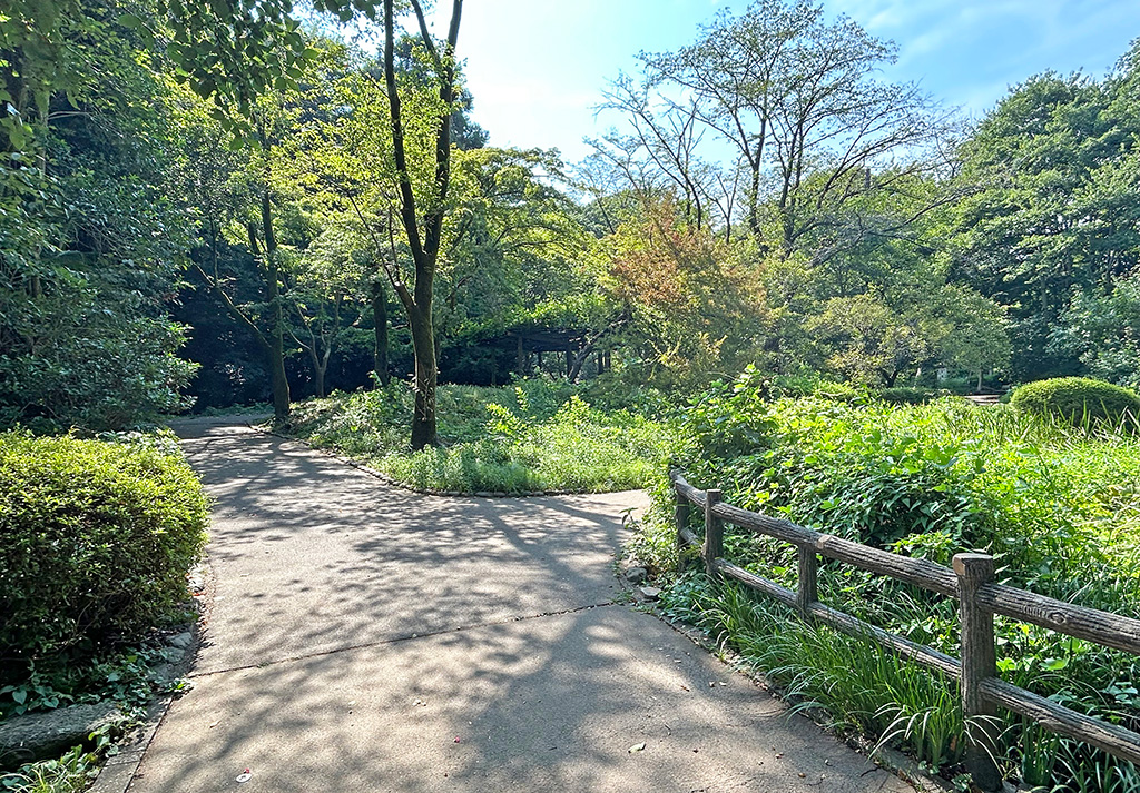 芹ヶ谷公園　藤棚近く（東京都／町田市）のポケふたへの散策路