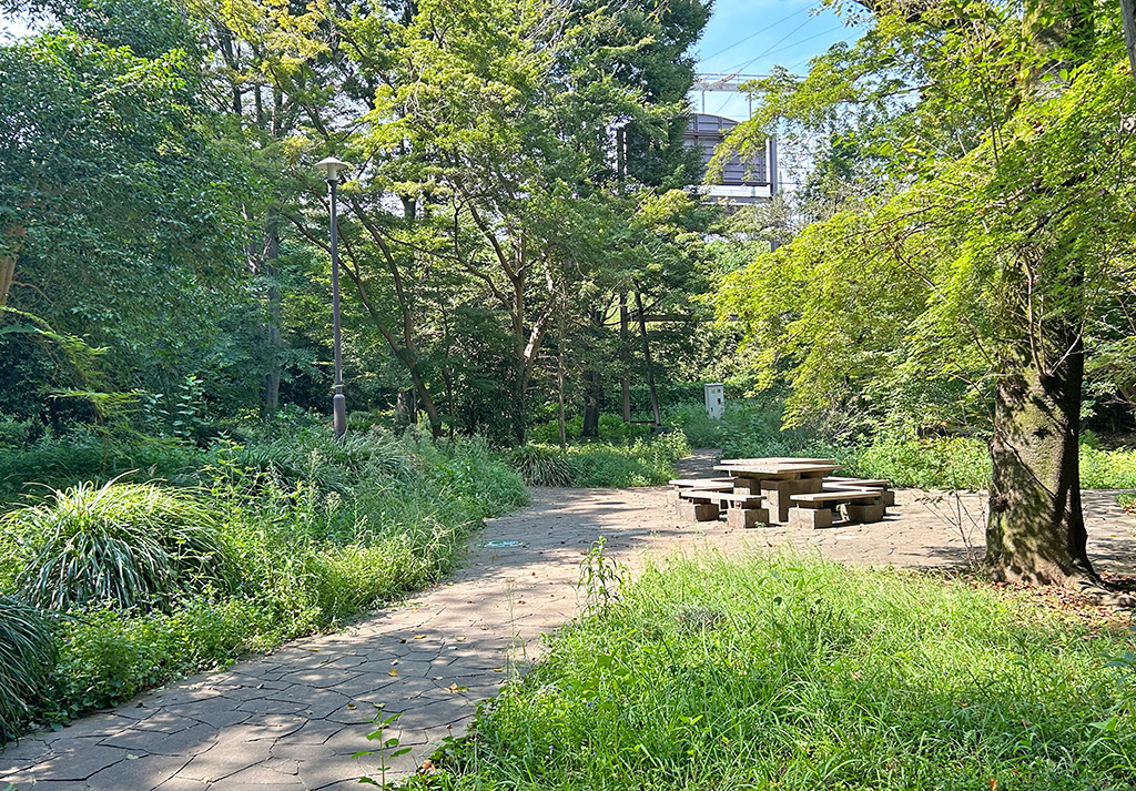 芹ヶ谷公園　藤棚近く（東京都／町田市）のポケふたへの散策路