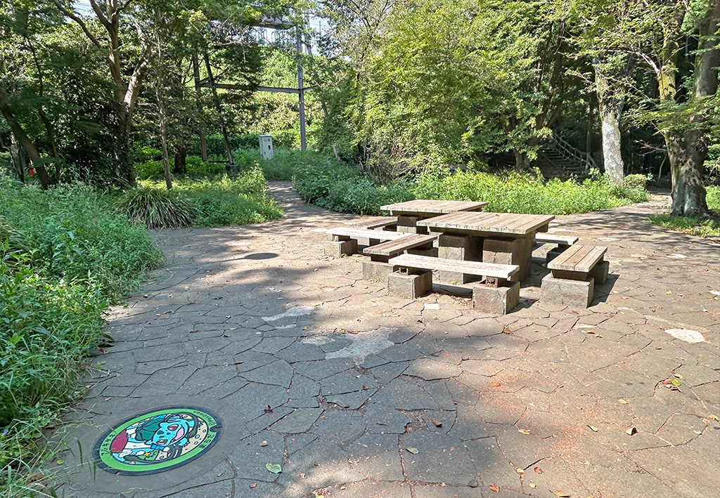 芹ヶ谷公園　藤棚近く（東京都／町田市）にあるポケふた「フシギダネ」