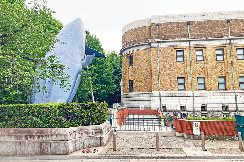 国立科学博物館（東京都／台東区）にあるポケふた