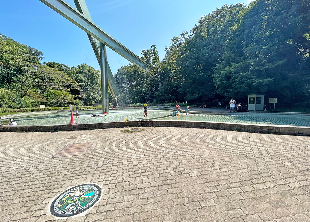 芹ヶ谷公園　虹と水の広場（北側）（東京都／町田市）にあるポケふた「ポッポ」と「コラッタ」