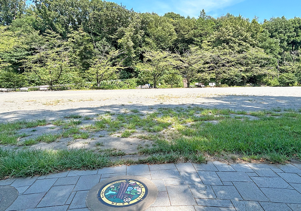 芹ヶ谷公園　多目的広場（東京都／町田市）にあるポケふた「ナゾノクサ」「ビードル」「キャタピー」