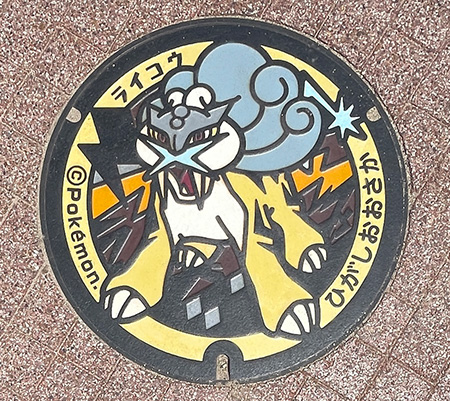 中央公園 東大阪市花園ラグビー場(大阪府/東大阪市)にあるポケふた「ライコウ」