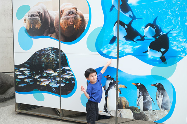 ホテルの目の前にある鴨川シーワールド│子連れ宿泊レポ/亀の井ホテル 鴨川(千葉県/鴨川市)