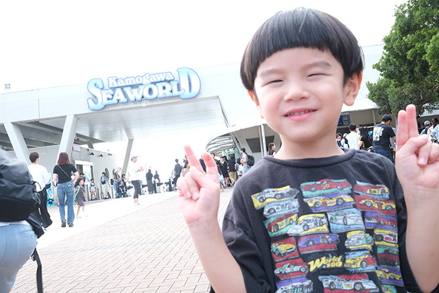 ホテルの目の前にある鴨川シーワールド│子連れ宿泊レポ/亀の井ホテル 鴨川(千葉県/鴨川市)