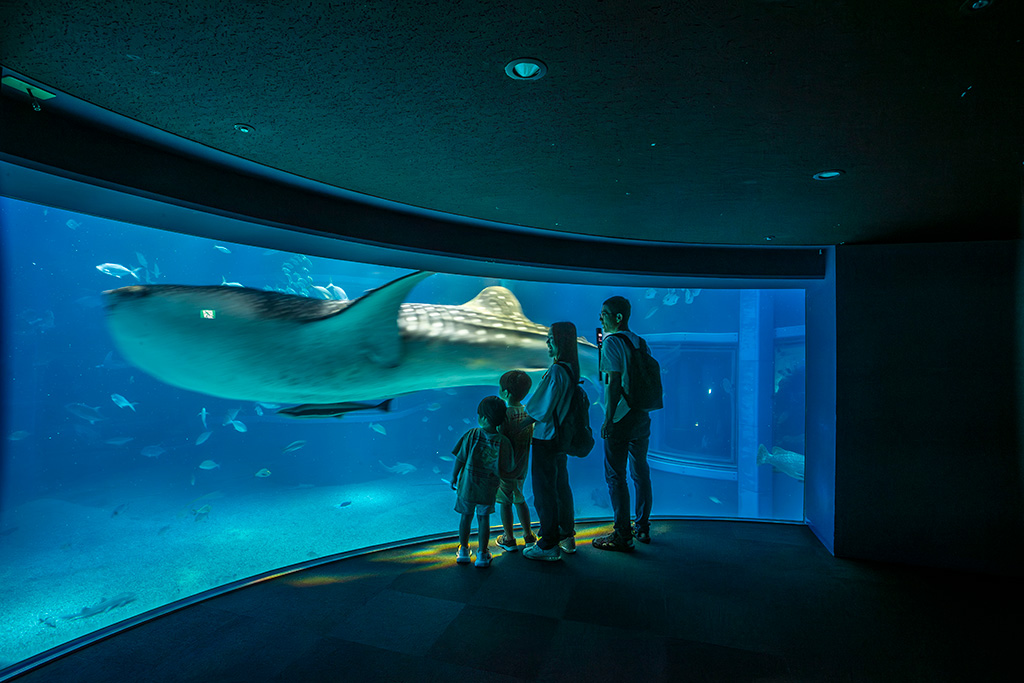 海遊館(大阪府/大阪市)