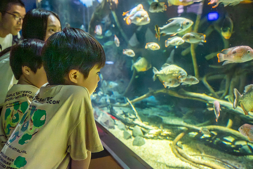 海遊館(大阪府/大阪市)