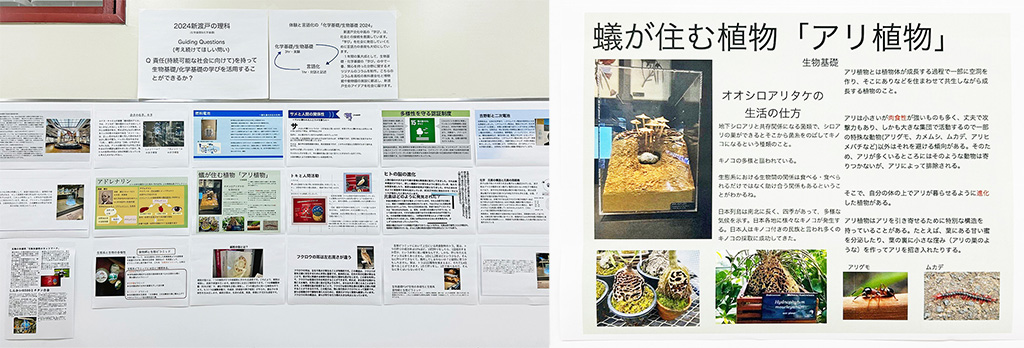 オリジナルコラム│中学受験/新渡戸文化中学校(東京都/中野区)