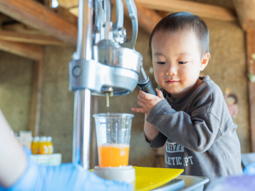 みかんピング(和歌山県/有田市)