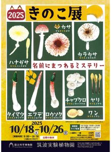 茨城・筑波実験植物園で「きのこ展」開催 親子できのこの香りや手触り、ワークショップなども楽しめる企画展