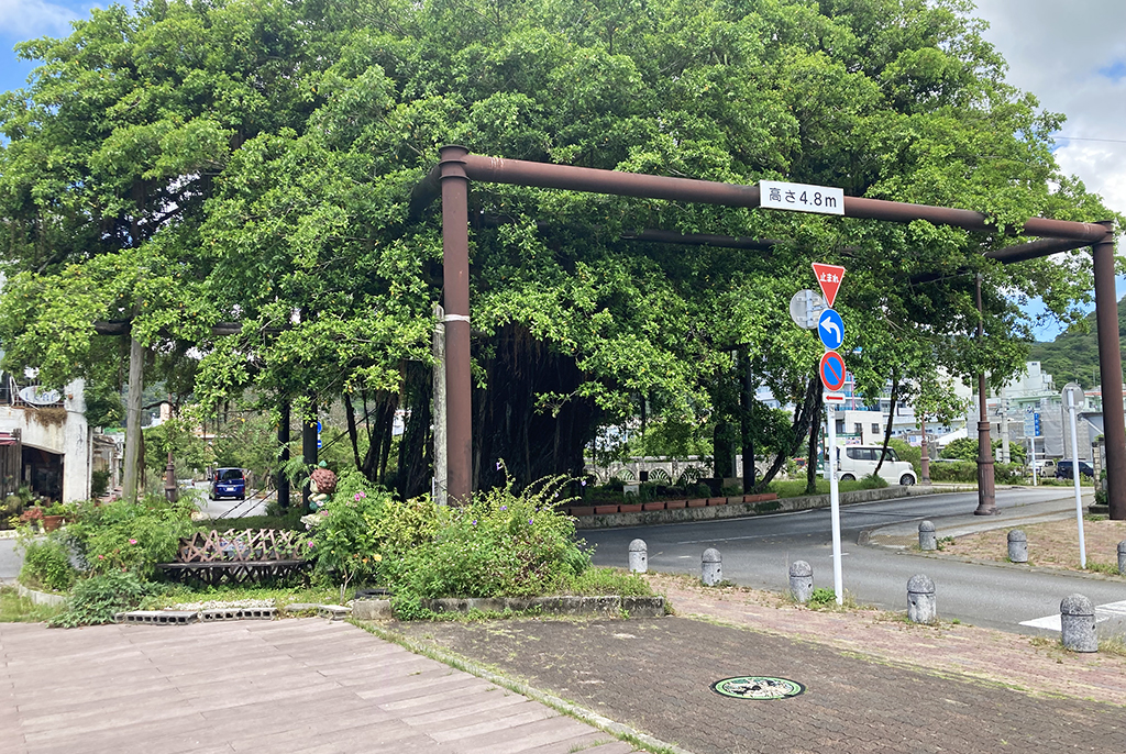 ガジュマル緑地公園のポケふた「エモンガ」のある場所(沖縄県/名護市)