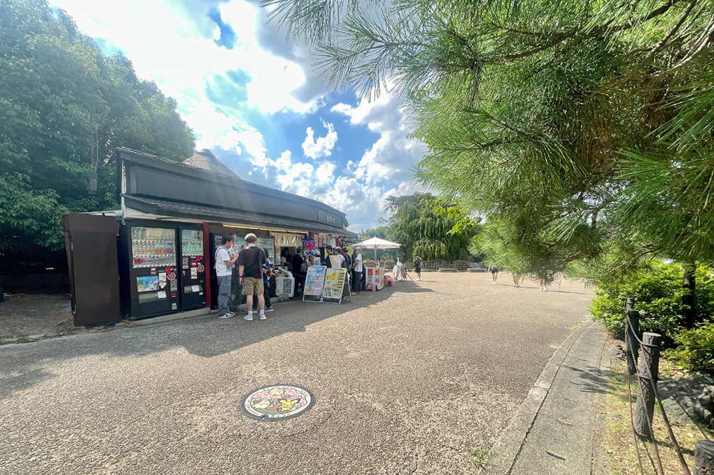 円山公園のポケふた「ピチュー」・「ピィ」・「ププリン」がある場所（京都府/京都市）