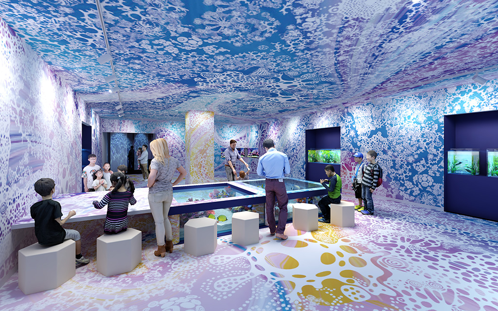 サンゴの海の世界が広がる「Coral（色彩のシーン）」/広島もとまち水族館（広島県/広島市）