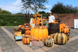 全国ハロウィンイベント（2026）テーマパークのショーや子どもが喜ぶフォトスポットなど