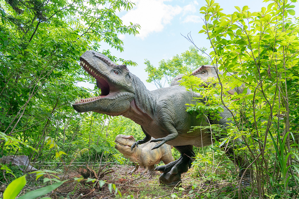 肉食恐竜ティラノサウルスの復元模型/かつやま恐竜の森(福井県/勝山市)