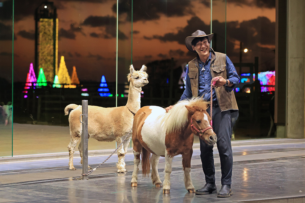 「ナイトファームショー」│マザーイルミ/マザー牧場(千葉県/富津市)