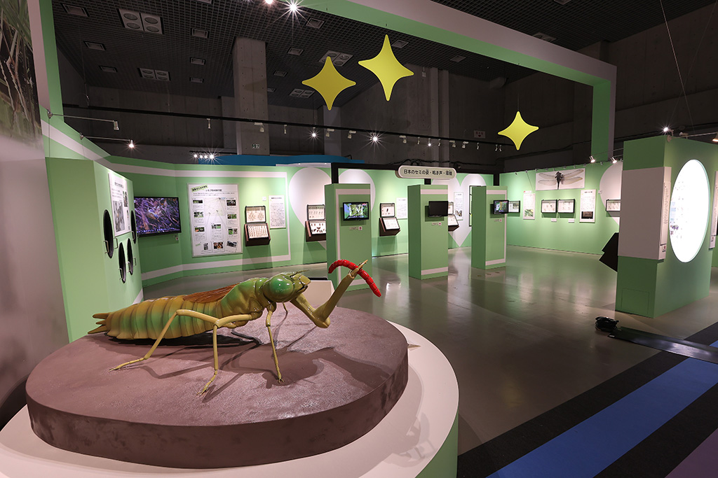 昆虫標本│特別展「昆虫 MANIAC」開催概要/名古屋市科学館(愛知県/名古屋市)