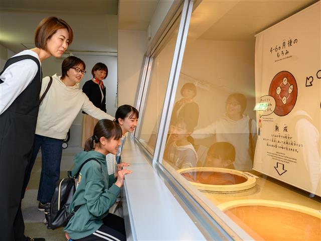 キッコーマンもの知りしょうゆ館（千葉県／野田市）