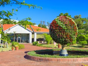 沖縄県の無料スポット・遊び場8選!絶景の展望台や日本銀行の社会科見学など