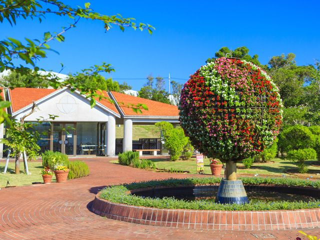 国営沖縄記念公園(海洋博公園)：熱帯・亜熱帯都市緑化植物園