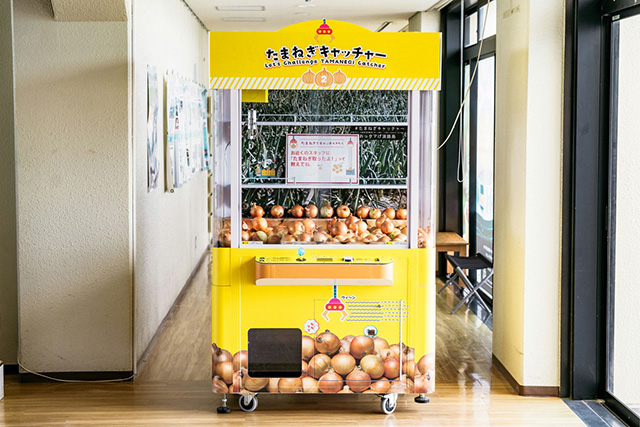 本物の玉ねぎをキャッチ!/©道の駅うずしお/道の駅うずしお(兵庫県南/あわじ市)