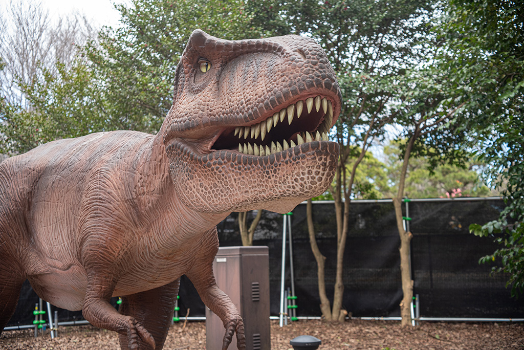 迫力あるティラノサウルス/ダイナソーアドベンチャーツアー 大恐竜パークinとちぎわんぱく公園（栃木県/壬生町）