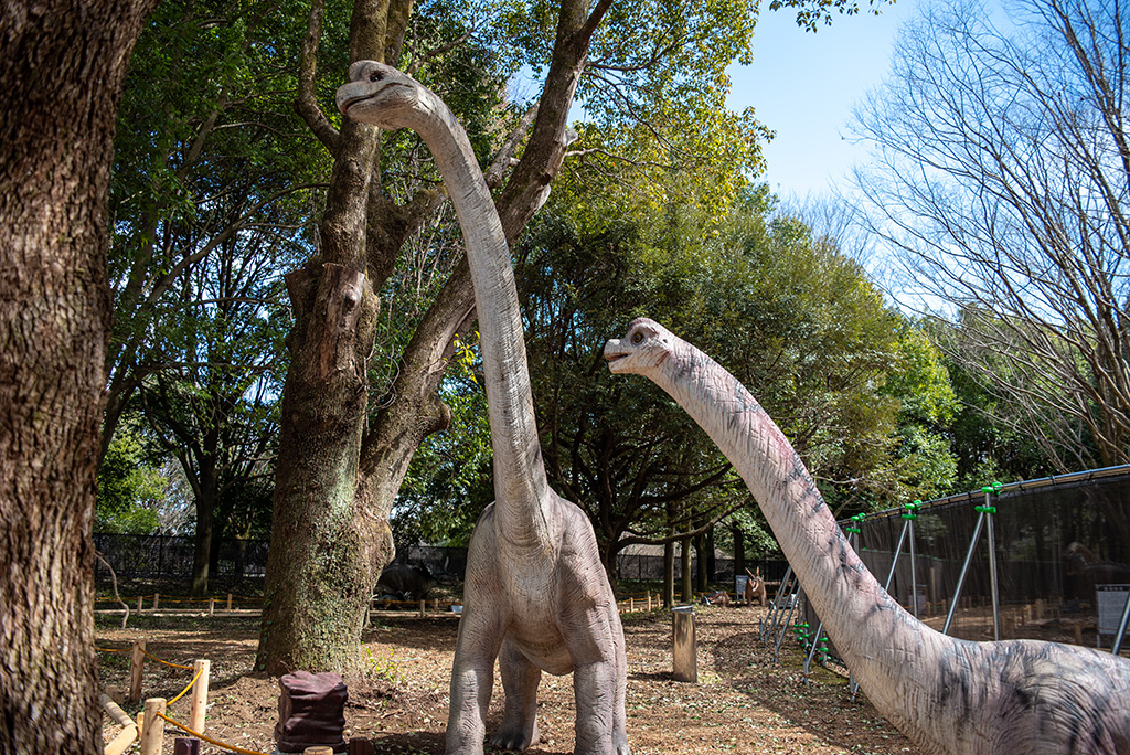 ブラキオサウルス親子/ダイナソーアドベンチャーツアー 大恐竜パークinとちぎわんぱく公園（栃木県/壬生町）