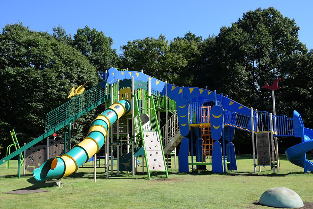 さまざまな恐竜モチーフの遊具/もみじ平総合公園（群馬県/富岡市）