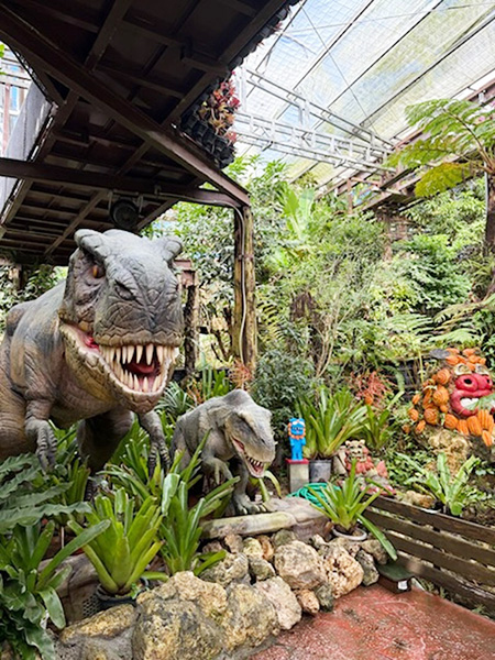 ダイナソーアドベンチャーツアー②/ナゴパイナップルパーク(沖縄県/名護市)