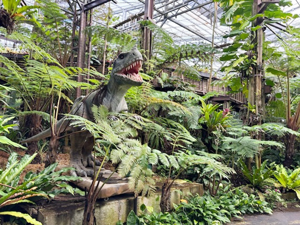 ダイナソーアドベンチャーツアー③/ナゴパイナップルパーク(沖縄県/名護市)