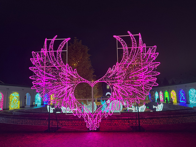 神戸イルミナージュ:/道の駅 神戸フルーツ・フラワーパーク大沢(兵庫県/神戸市)
