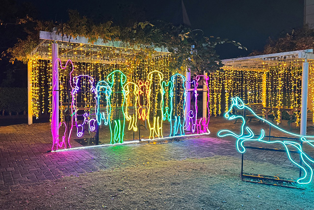 神戸イルミナージュ:「わんわんパーク」/道の駅 神戸フルーツ・フラワーパーク大沢(兵庫県/神戸市)