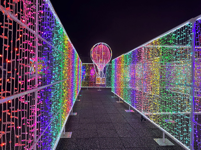神戸イルミナージュ:大人でも意外と難しい迷路/道の駅 神戸フルーツ・フラワーパーク大沢(兵庫県/神戸市)